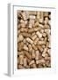 Wine Bottle Corks-Alan Sirulnikoff-Framed Photographic Print