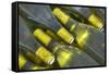 Wine Bottles from Maipo Valley in Chile-Jon Hicks-Framed Stretched Canvas