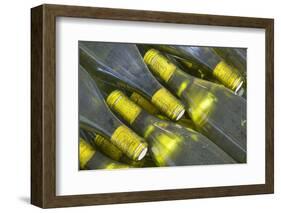 Wine Bottles from Maipo Valley in Chile-Jon Hicks-Framed Photographic Print
