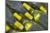 Wine Bottles from Maipo Valley in Chile-Jon Hicks-Mounted Photographic Print