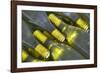 Wine Bottles from Maipo Valley in Chile-Jon Hicks-Framed Photographic Print