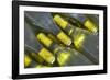 Wine Bottles from Maipo Valley in Chile-Jon Hicks-Framed Photographic Print
