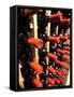 Wine Bottles in a Rack, Temecula, California, USA-Richard Duval-Framed Stretched Canvas