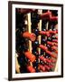 Wine Bottles in a Rack, Temecula, California, USA-Richard Duval-Framed Premium Photographic Print