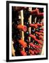 Wine Bottles in a Rack, Temecula, California, USA-Richard Duval-Framed Premium Photographic Print