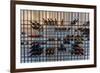 Wine Bottles, Reykjavik, Iceland-null-Framed Photographic Print