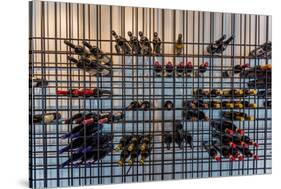 Wine Bottles, Reykjavik, Iceland-null-Stretched Canvas