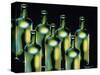 Wine Bottles-Diana Ong-Stretched Canvas