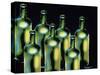 Wine Bottles-Diana Ong-Stretched Canvas