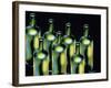 Wine Bottles-Diana Ong-Framed Giclee Print