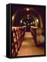 Wine Cave at the Pine Ridge Winery on the Silverado Trail, Napa Valley, California, USA-John Alves-Framed Stretched Canvas