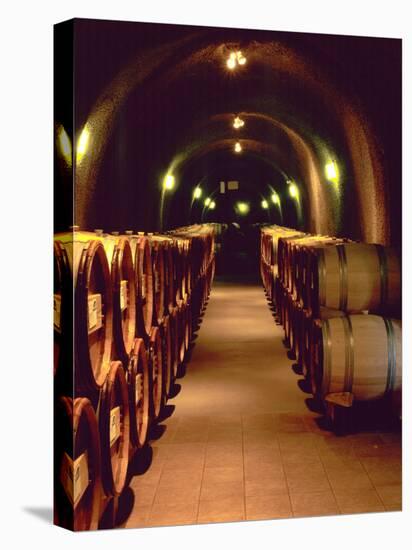 Wine Cave at the Pine Ridge Winery on the Silverado Trail, Napa Valley, California, USA-John Alves-Stretched Canvas