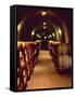 Wine Cave at the Pine Ridge Winery on the Silverado Trail, Napa Valley, California, USA-John Alves-Framed Stretched Canvas