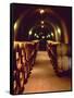 Wine Cave at the Pine Ridge Winery on the Silverado Trail, Napa Valley, California, USA-John Alves-Framed Stretched Canvas