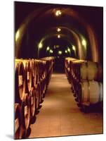 Wine Cave at the Pine Ridge Winery on the Silverado Trail, Napa Valley, California, USA-John Alves-Mounted Premium Photographic Print