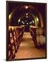 Wine Cave at the Pine Ridge Winery on the Silverado Trail, Napa Valley, California, USA-John Alves-Framed Photographic Print