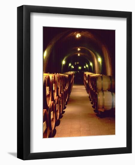 Wine Cave at the Pine Ridge Winery on the Silverado Trail, Napa Valley, California, USA-John Alves-Framed Photographic Print