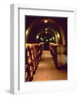 Wine Cave at the Pine Ridge Winery on the Silverado Trail, Napa Valley, California, USA-John Alves-Framed Photographic Print