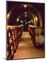 Wine Cave at the Pine Ridge Winery on the Silverado Trail, Napa Valley, California, USA-John Alves-Mounted Photographic Print