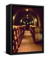 Wine Cave at the Pine Ridge Winery on the Silverado Trail, Napa Valley, California, USA-John Alves-Framed Stretched Canvas