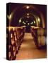 Wine Cave at the Pine Ridge Winery on the Silverado Trail, Napa Valley, California, USA-John Alves-Stretched Canvas