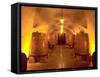 Wine Caves at the Viansa Winery, Sonoma County, California, USA-John Alves-Framed Stretched Canvas