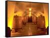 Wine Caves at the Viansa Winery, Sonoma County, California, USA-John Alves-Framed Stretched Canvas