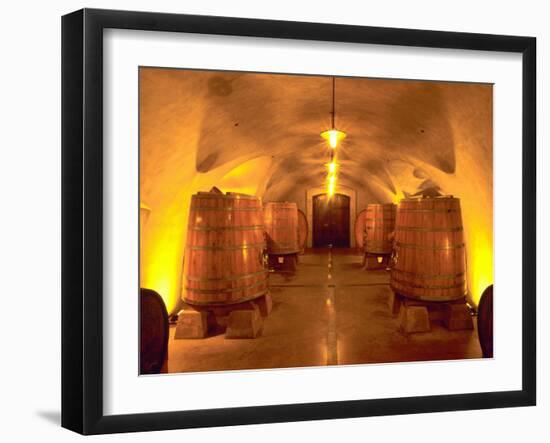 Wine Caves at the Viansa Winery, Sonoma County, California, USA-John Alves-Framed Premium Photographic Print