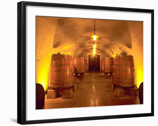 Wine Caves at the Viansa Winery, Sonoma County, California, USA-John Alves-Framed Photographic Print