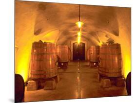 Wine Caves at the Viansa Winery, Sonoma County, California, USA-John Alves-Mounted Photographic Print