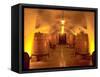 Wine Caves at the Viansa Winery, Sonoma County, California, USA-John Alves-Framed Stretched Canvas