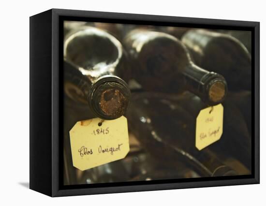 Wine Cellar and Bottles of Clos De Vougeot, France-Per Karlsson-Framed Stretched Canvas