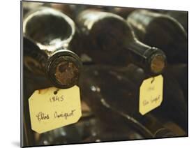 Wine Cellar and Bottles of Clos De Vougeot, France-Per Karlsson-Mounted Photographic Print
