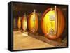 Wine Cellar and Oak Casks, Champagne Jacquesson in Dizy, Vallee De La Marne, Ardennes, France-Per Karlsson-Framed Stretched Canvas