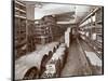 Wine Cellar at the Hotel Knickerbocker, 1906-Byron Company-Mounted Giclee Print