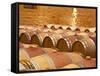 Wine Cellar, Barriques Barrels, Chateau Grand Mayne, Saint Emilion, Bordeaux, France-Per Karlsson-Framed Stretched Canvas