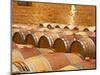 Wine Cellar, Barriques Barrels, Chateau Grand Mayne, Saint Emilion, Bordeaux, France-Per Karlsson-Mounted Photographic Print