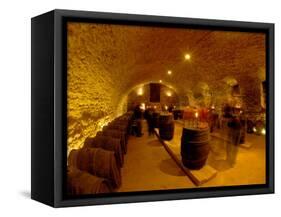 Wine Cellar of Chateau de Pierreclos, Burgundy, France-Lisa S. Engelbrecht-Framed Stretched Canvas