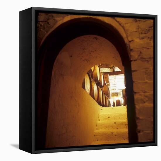 Wine Cellar of Crama Urlateanu Winery, Romania-Armin Faber-Framed Stretched Canvas