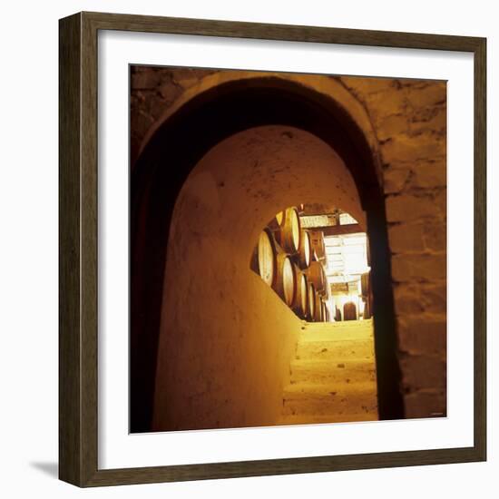 Wine Cellar of Crama Urlateanu Winery, Romania-Armin Faber-Framed Photographic Print