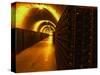 Wine Cellar, Old Chalk Quarry, Champagne Ruinart, Reims, Marne, Ardennes, France-Per Karlsson-Stretched Canvas