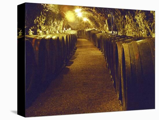 Wine Cellar with Tunnels of Wooden Barrels and Tokaj Wine, Royal Tokaji Wine Company, Mad, Hungary-Per Karlsson-Stretched Canvas