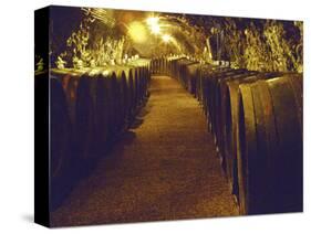 Wine Cellar with Tunnels of Wooden Barrels and Tokaj Wine, Royal Tokaji Wine Company, Mad, Hungary-Per Karlsson-Stretched Canvas