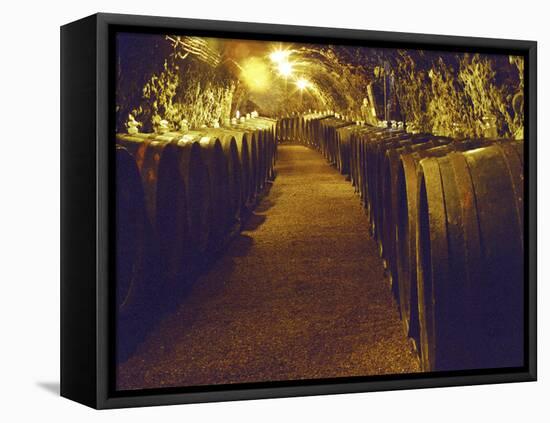 Wine Cellar with Tunnels of Wooden Barrels and Tokaj Wine, Royal Tokaji Wine Company, Mad, Hungary-Per Karlsson-Framed Stretched Canvas