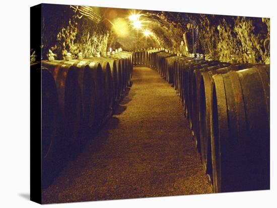 Wine Cellar with Tunnels of Wooden Barrels and Tokaj Wine, Royal Tokaji Wine Company, Mad, Hungary-Per Karlsson-Stretched Canvas