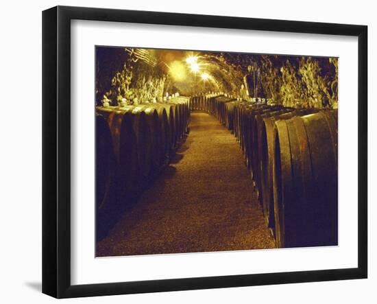 Wine Cellar with Tunnels of Wooden Barrels and Tokaj Wine, Royal Tokaji Wine Company, Mad, Hungary-Per Karlsson-Framed Premium Photographic Print