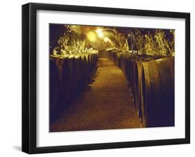 Wine Cellar with Tunnels of Wooden Barrels and Tokaj Wine, Royal Tokaji Wine Company, Mad, Hungary-Per Karlsson-Framed Premium Photographic Print