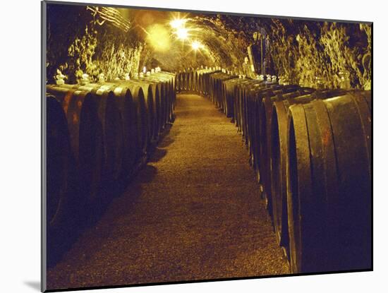 Wine Cellar with Tunnels of Wooden Barrels and Tokaj Wine, Royal Tokaji Wine Company, Mad, Hungary-Per Karlsson-Mounted Photographic Print