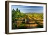 Wine Cellars in Eastern Washington.-Richard Duval-Framed Photographic Print