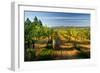 Wine Cellars in Eastern Washington.-Richard Duval-Framed Photographic Print